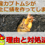 Thumbnail of post image 061